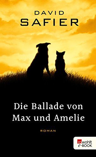 Rezension zum Roman „Die Ballade von Max und Amelie“ von David Safier