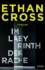 Im Labyrinth der Rache von Ethan Cross